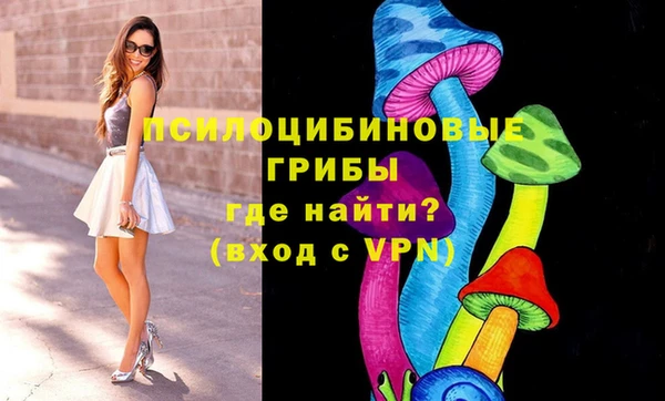ALPHA PVP Медвежьегорск