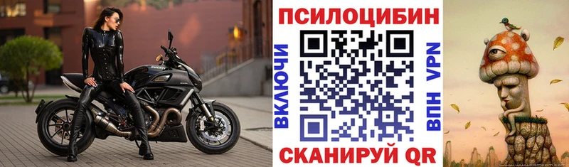 Купить  Хотьково  Псилоцибиновые грибы Magic Shrooms 